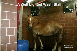 A Well Lighted Wash Stall