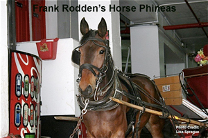 Frank Rodden’s Horse Phineas