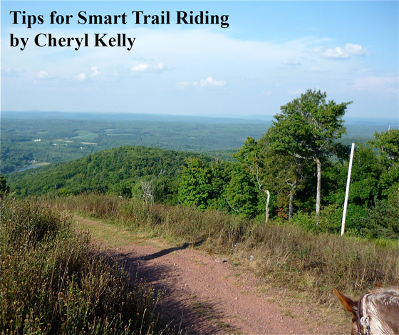 Tips for Smart Trail Riding 
by Cheryl Kelly