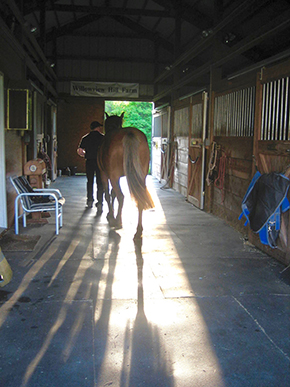 Horse Barn