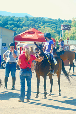 Horse show