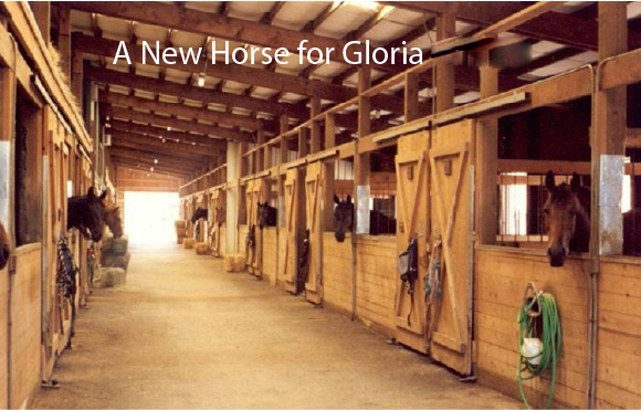 A New Horse for Gloria ~ Part I