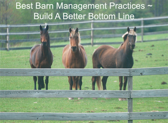 Best Barn Management Practices ~ Build A Better Bottom Line