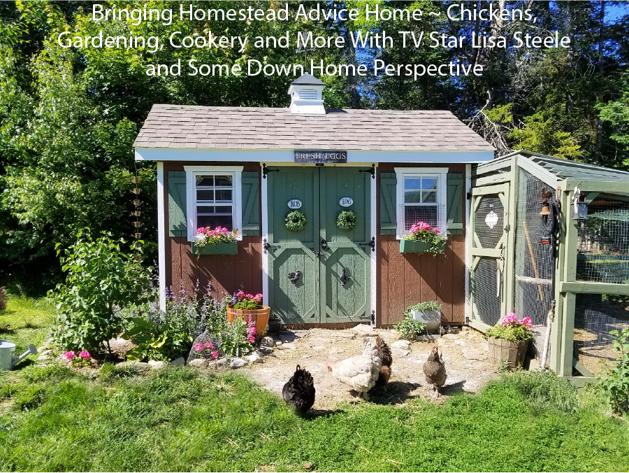 Bringing Homestead Advice Home ~ Chickens, Gardening, Cookery and More With TV Star Lisa Steele and Some Down Home Perspective