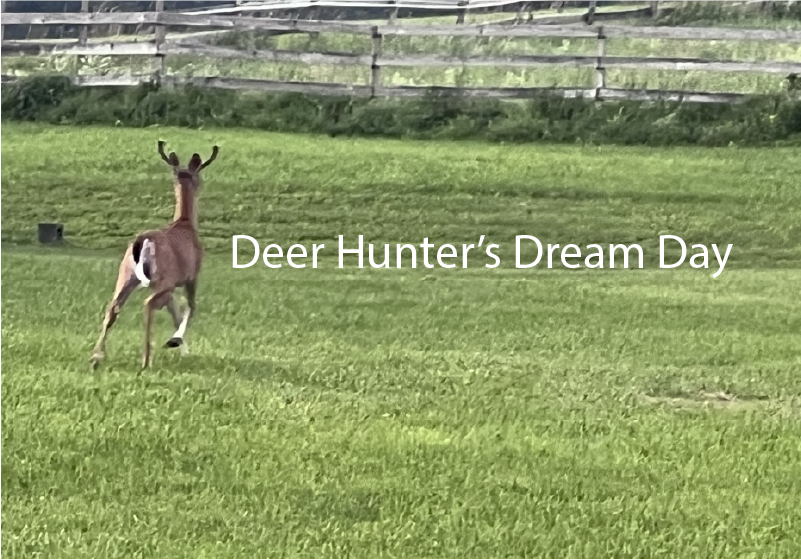 Deer Hunter’s Dream Day 
