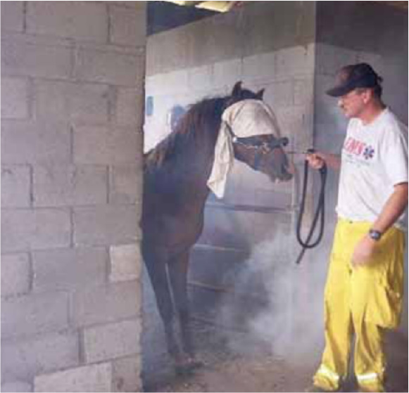 Disasters Happen ~ Equine Emergency Preparedness