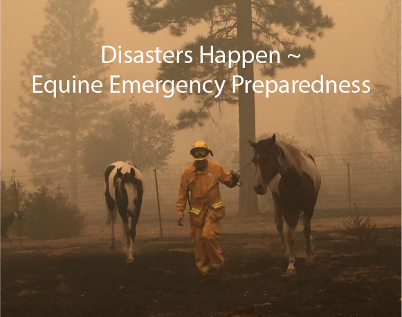Disasters Happen ~ Equine Emergency Preparedness
