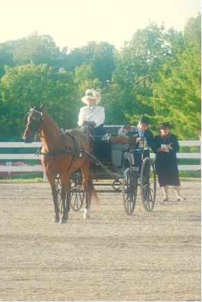 Driven Dressage from the Judge’s Eye