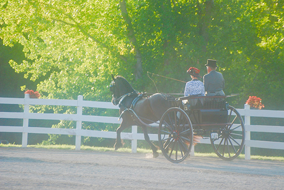 Budget-Friendly Ways to Start Carriage Driving