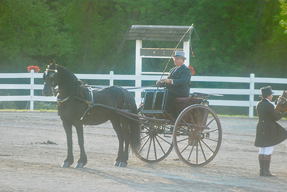 Budget-Friendly Ways to Start Carriage Driving