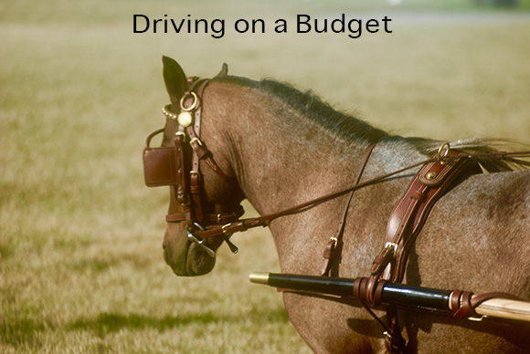 Driving on a Budget