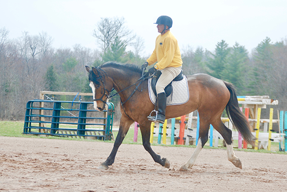 A horse that will carry you safely around