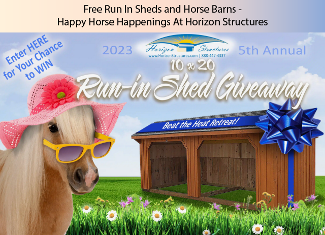 Free Run In Sheds and Horse Barns - Happy Horse Happenings At Horizon Structures 
