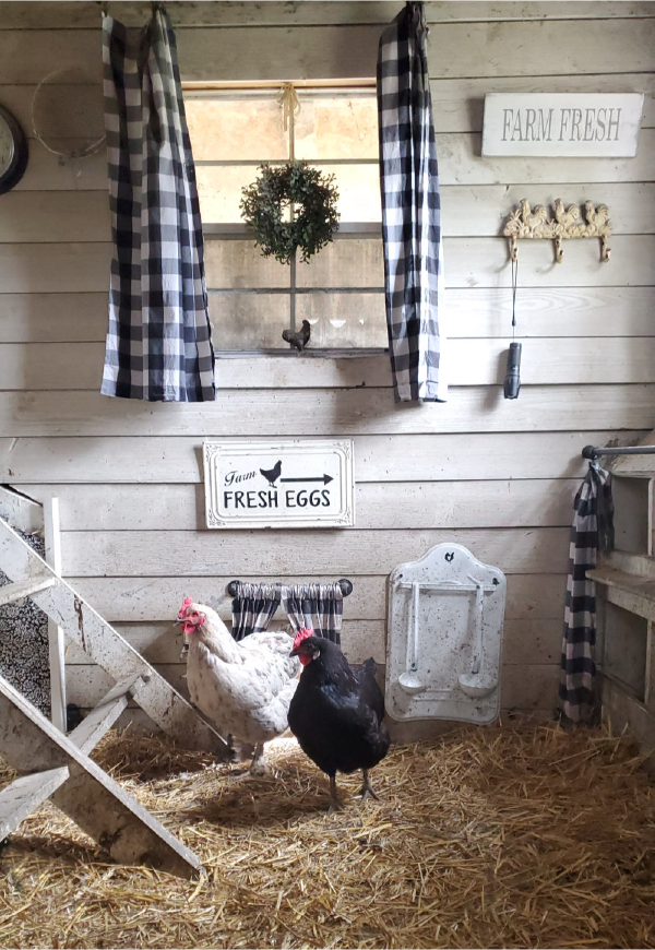 Bringing Homestead Advice Home ~ Chickens, Gardening, Cookery and More With TV Star Lisa Steele and Some Down Home Perspective
