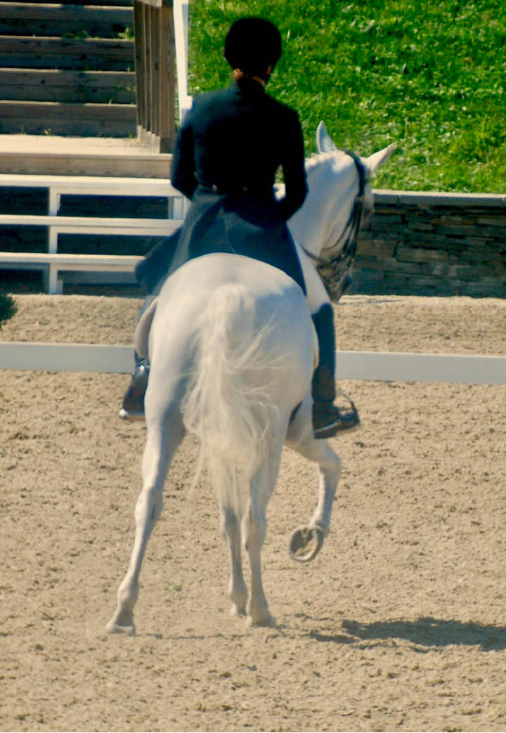 Getting To Grips With The Canter Half-Pass 