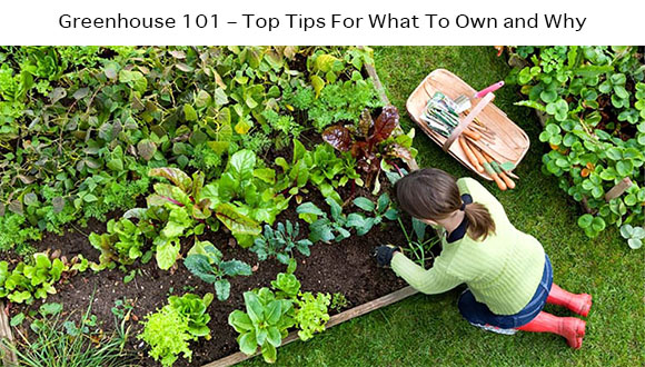 Greenhouse 101 – Top Tips For What To Own and Why
