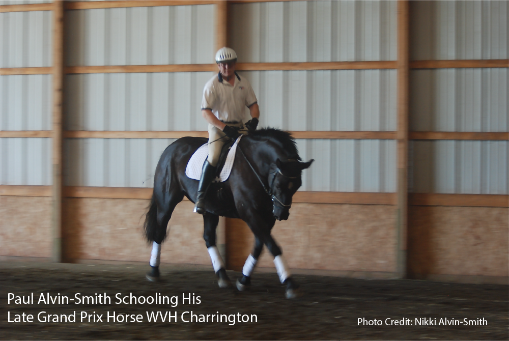 Paul Alvin-Smith Schooling His Late Grand Prix Horse WVH Charrington