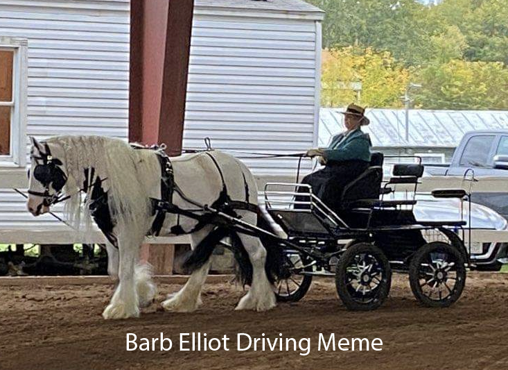 Barb Elliot Driving Meme