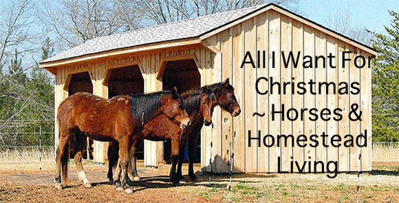All I Want For Christmas ~ Horses & Homestead Living