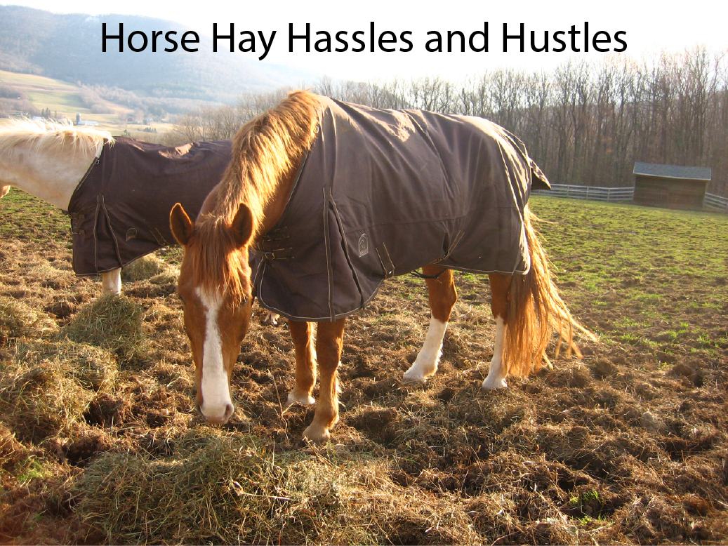 Horse Hay Hassles and Hustles