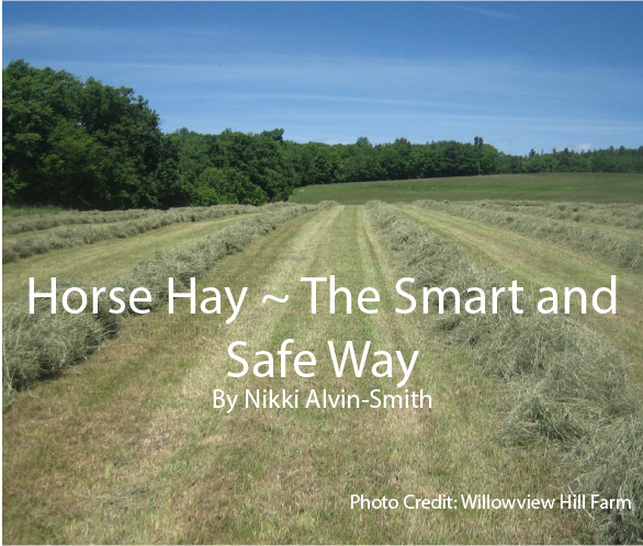 Horse Hay ~ The Smart and Safe WayBy Nikki Alvin-Smith