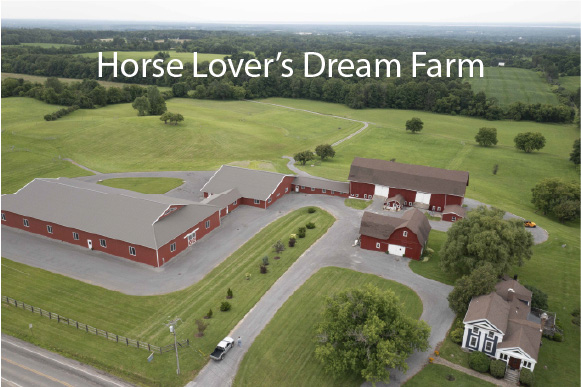 Horse Lover’s Dream Farm 