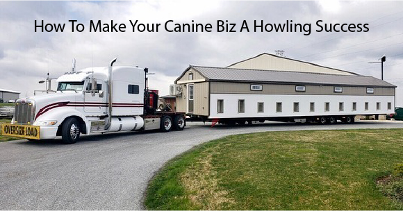 How To Make Your Canine Biz A Howling Success
