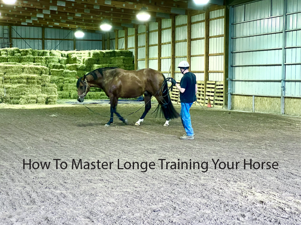 How To Master Longe Training Your Horse 