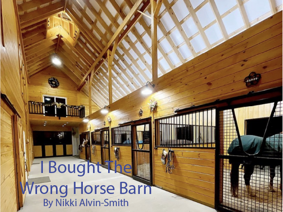 I Bought The Wrong Horse Barn 