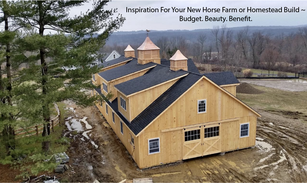 Inspiration For Your New Horse Farm or Homestead Build ~
Budget. Beauty. Benefit.
