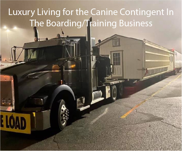 Luxury Living for the Canine Contingent In The Boarding/Training Business