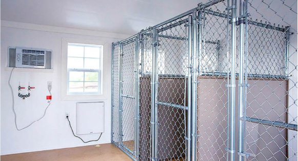 Luxury Living for the Canine Contingent In The Boarding/Training Business