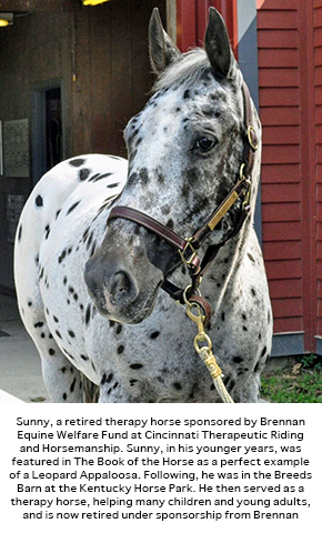 Sunny, a retired therapy horse sponsored by Brennan Equine Welfare Fund at Cincinnati Therapeutic Riding and Horsemanship. Sunny, in his younger years, was featured in The Book of the Horse as a perfect example of a Leopard Appaloosa. Following, he was in the Breeds Barn at the Kentucky Horse Park. He then served as a therapy horse, helping many children and young adults, and is now retired under sponsorship from Brennan Equine Welfare Fund.