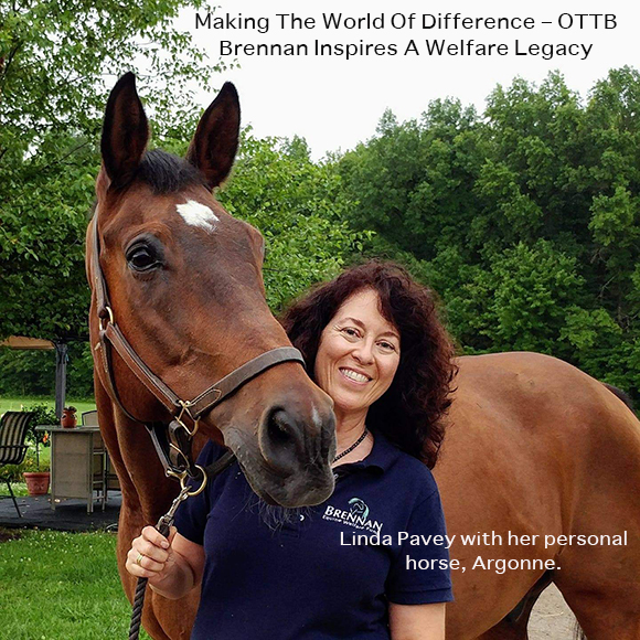 Linda Pavey with her personal horse, Argonne.