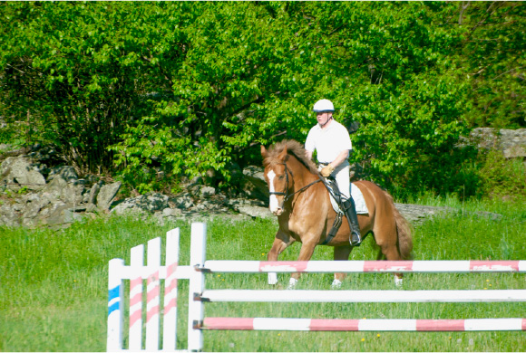 Managing Arthritis In The Senior Riding Horse