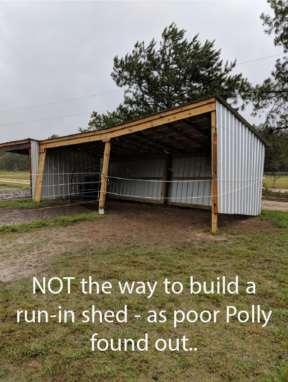 NOT the way to build a run-in shed - as poor Polly found out..