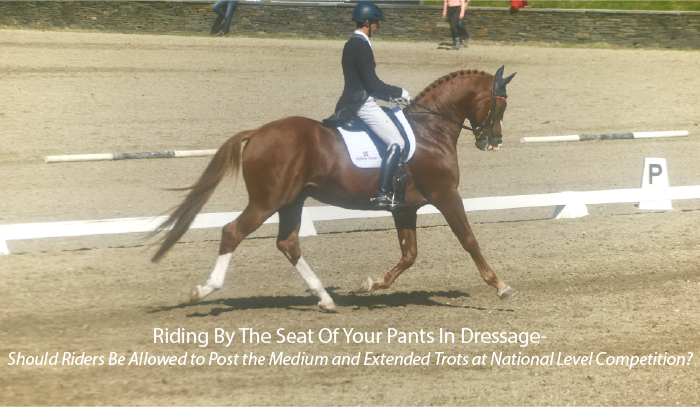 Riding By The Seat Of Your Pants In Dressage-