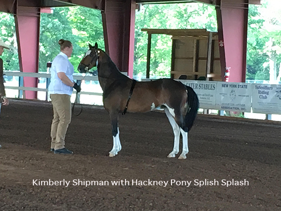 Kimberly Shipman with Hackney Pony Splish Splash