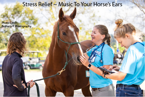 Stress Relief ~ Music To Your Horse’s Ears