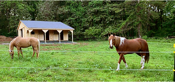 Horizon Structures Horse Barns