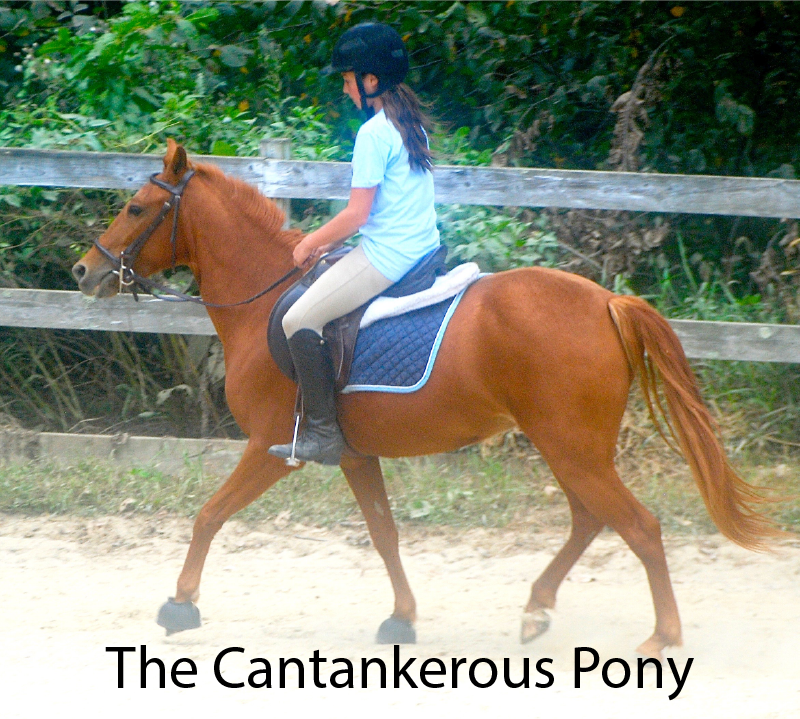The Cantankerous Pony