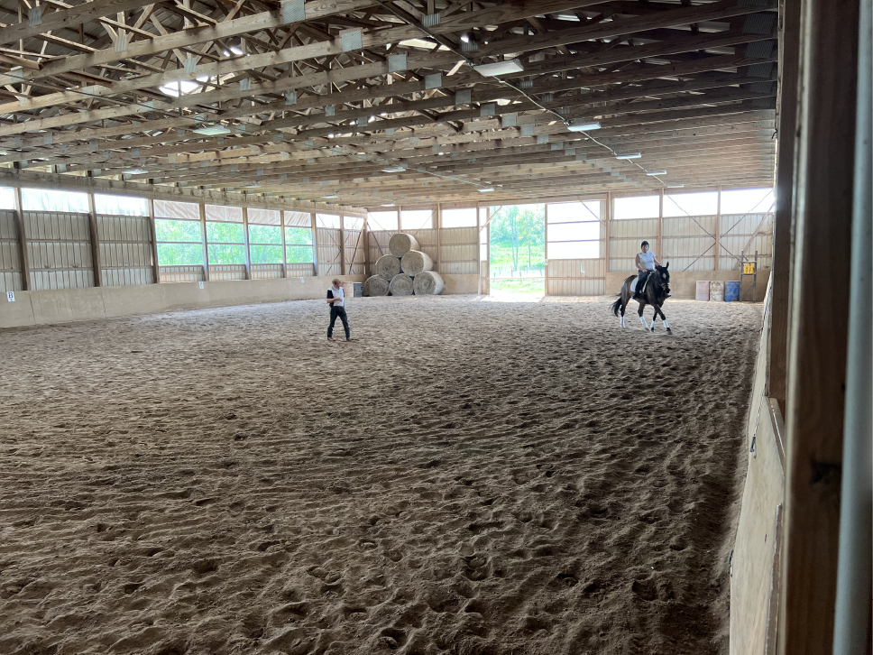 The Glorious Indoor Arena ~ I Want One But How Can I Afford It?