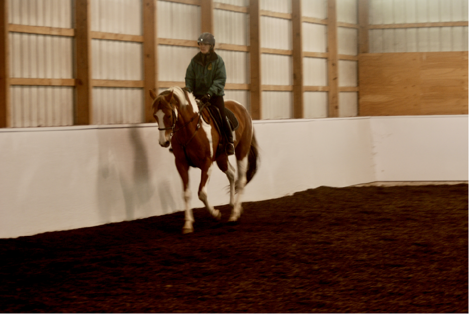 The Glorious Indoor Arena ~ I Want One But How Can I Afford It?