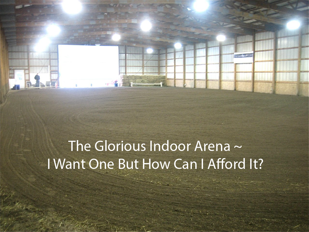 The Glorious Indoor Arena ~ I Want One But How Can I Afford It?
