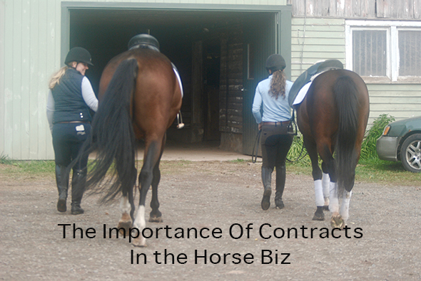 The Importance Of Contracts In the Horse Biz