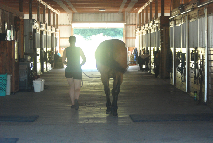 The Reasons Barn Staff Leave