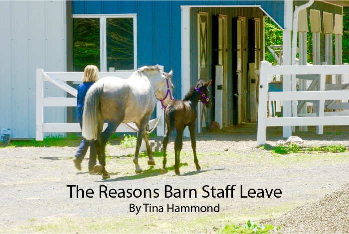The Reasons Barn Staff Leave