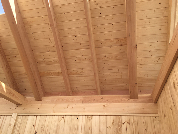 Timber Frame Bran Ceiling