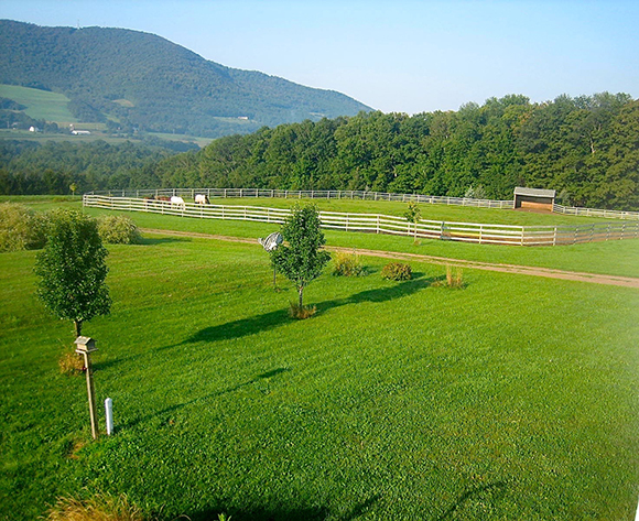 Tips On Building Your First Horse Farm