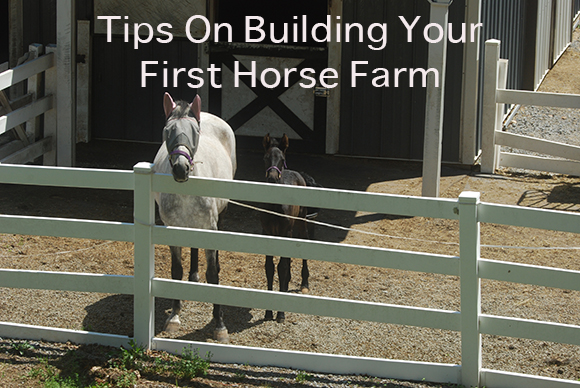 Tips On Building Your First Horse Farm